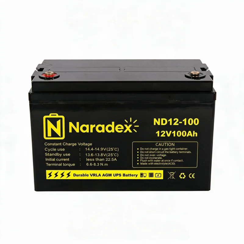 ND12-100 | 12V 100Ah AGM Battery view 2